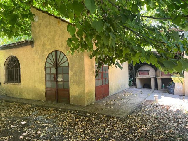 place photo 19