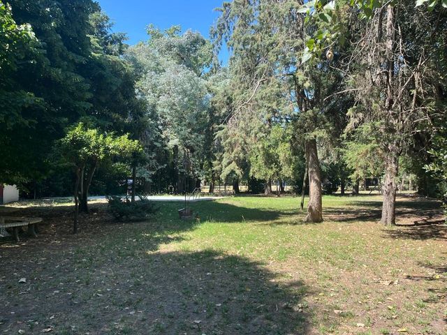 place photo 36