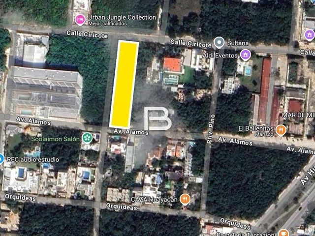 place photo 2
