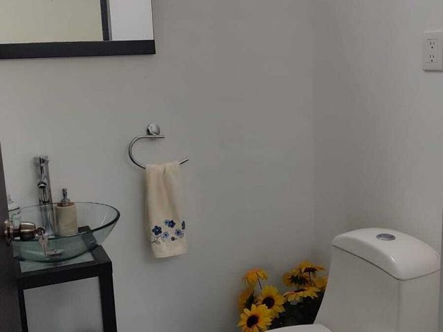 place photo 48