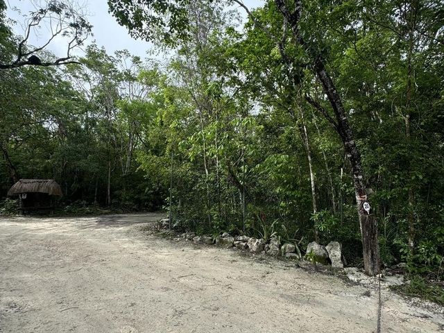 place photo 28