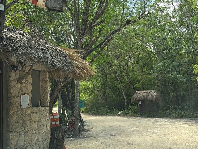 place photo 24