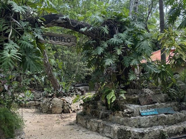 place photo 23