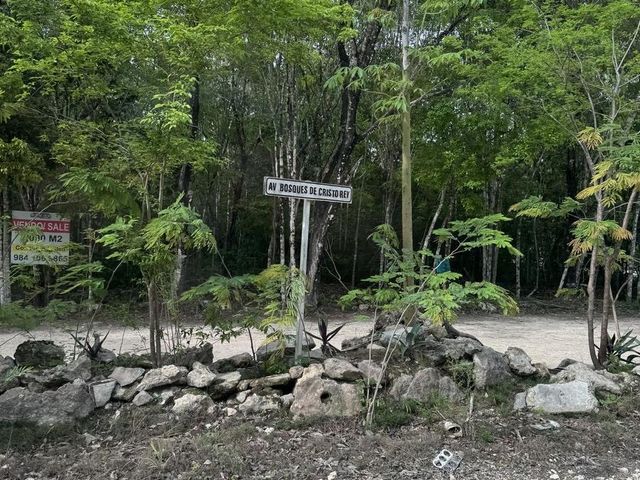 place photo 27