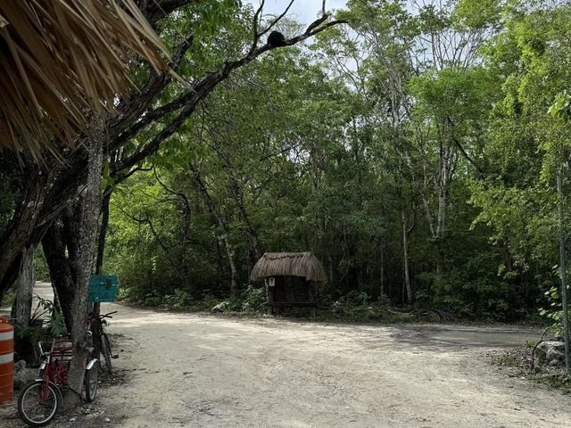place photo 32