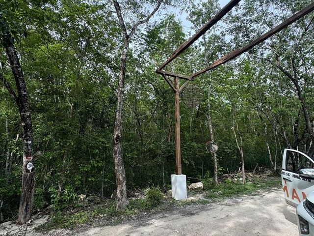 place photo 26