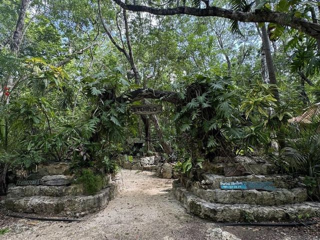 place photo 17