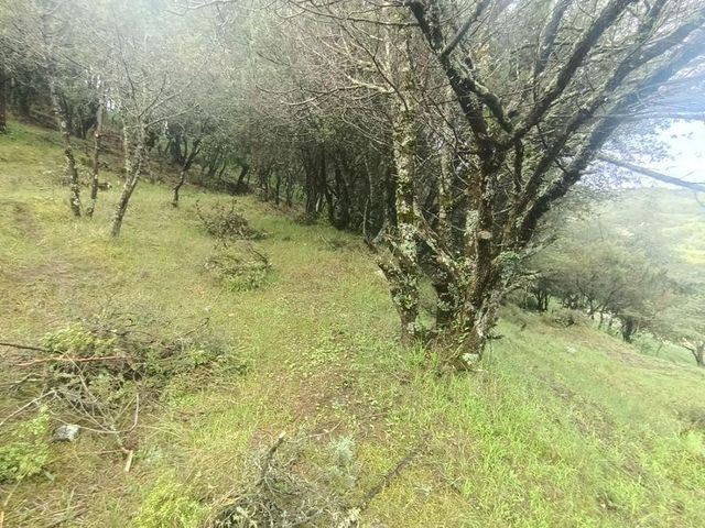 place photo 46