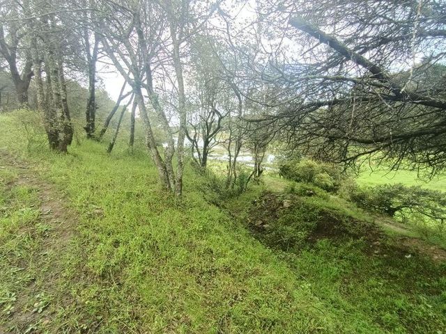 place photo 47