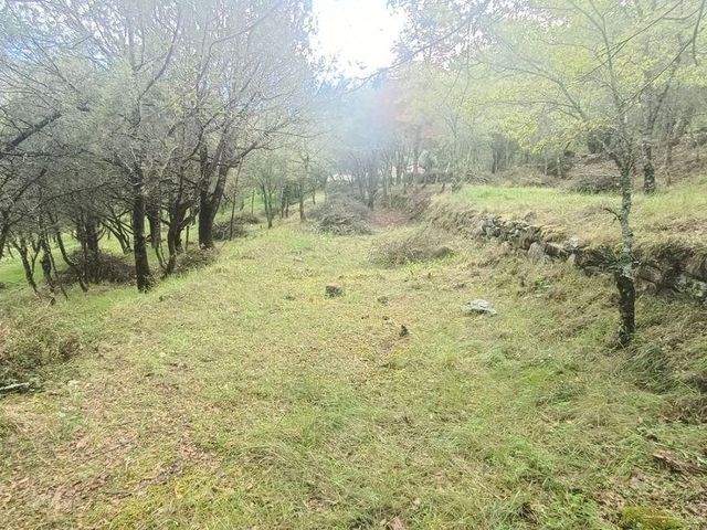place photo 49
