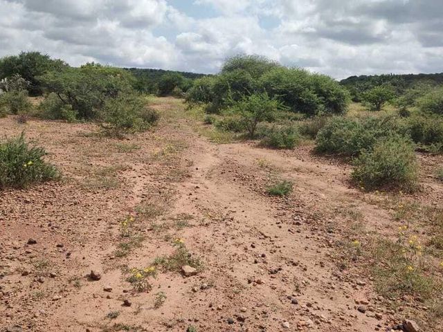 place photo 42