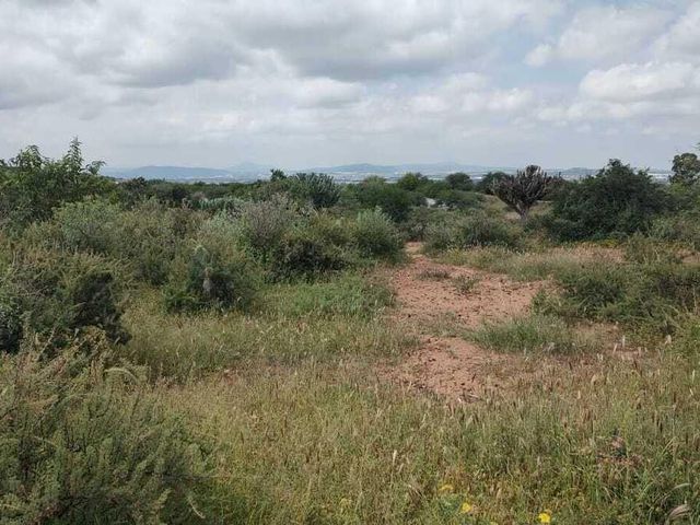 place photo 39