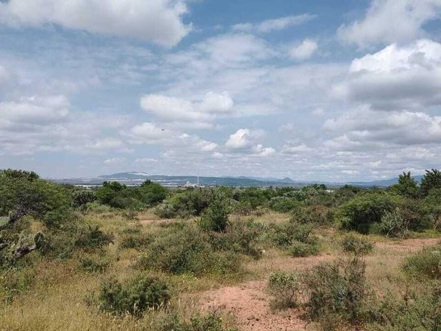 place photo 47