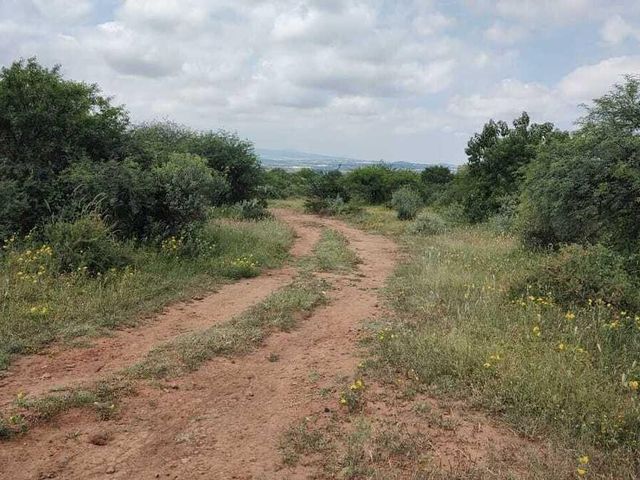place photo 25