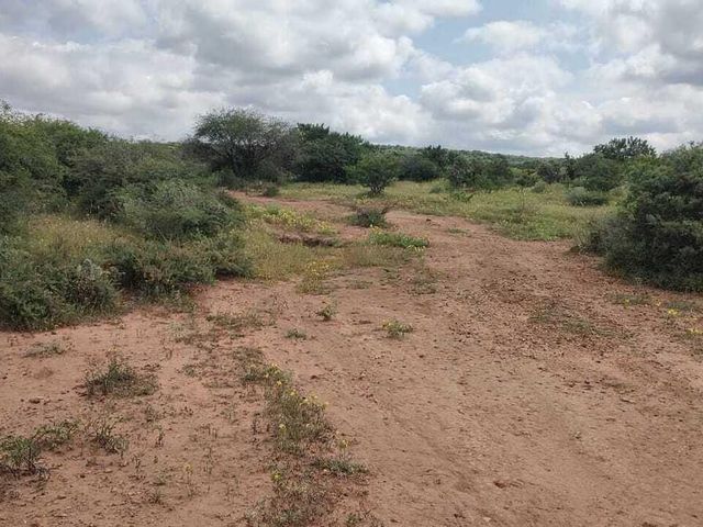 place photo 33