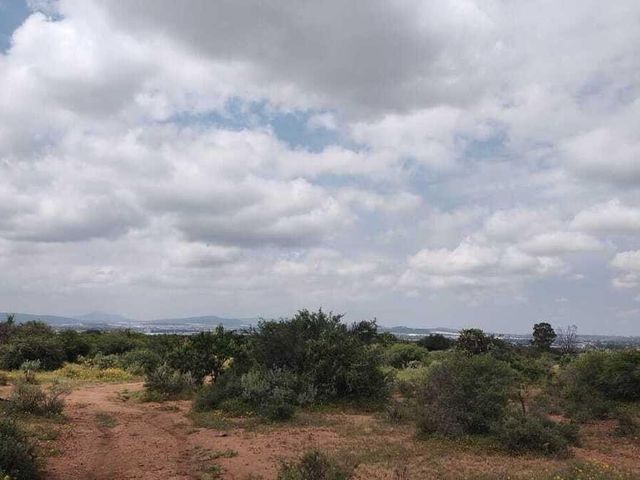 place photo 41