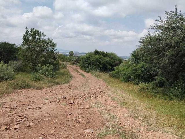 place photo 45