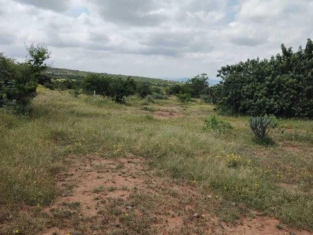place photo 43