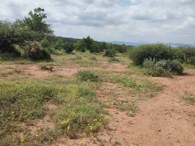 place photo 46