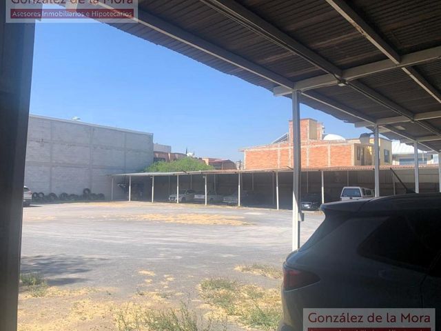 place photo 17