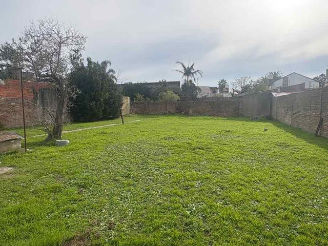 place photo 18