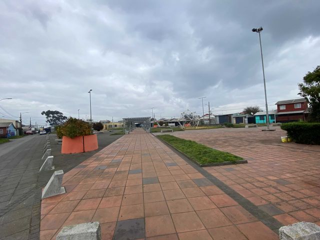 place photo 14