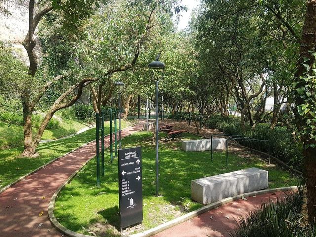 place photo 21
