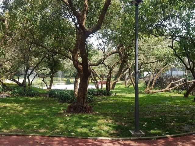 place photo 20