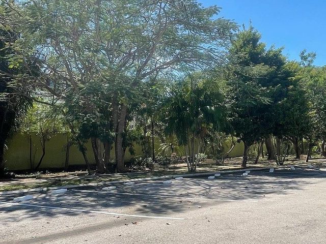 place photo 40