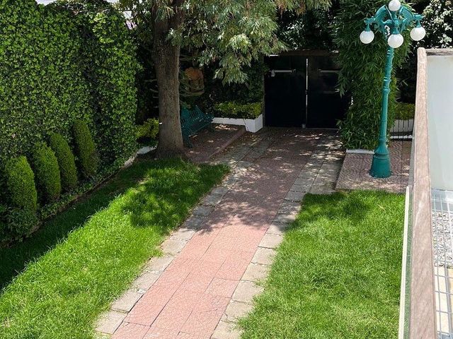 place photo 46
