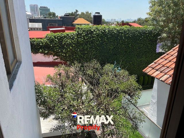 place photo 45