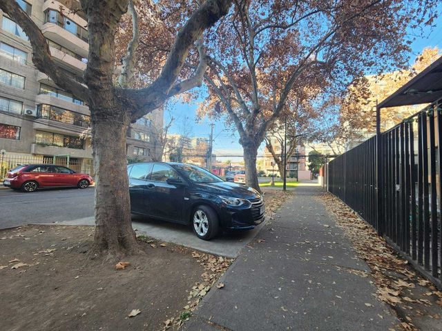 place photo 22