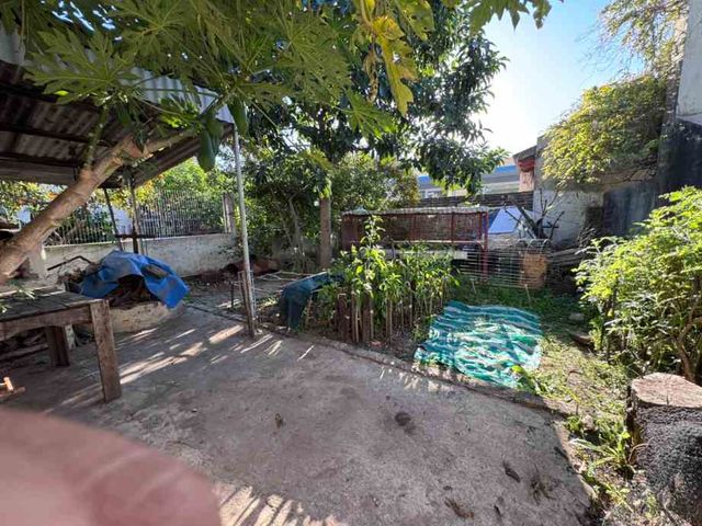 place photo 34
