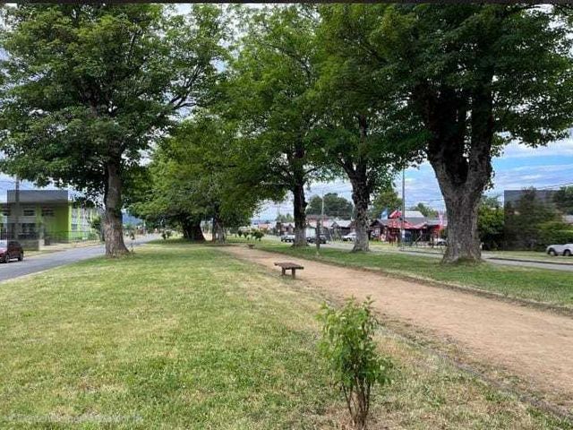 place photo 12