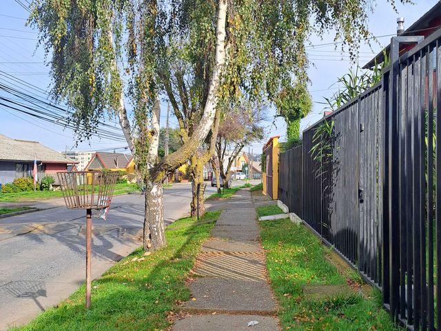 place photo 25