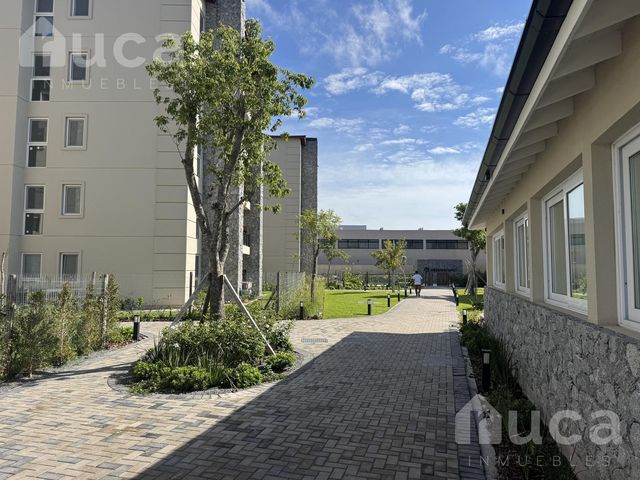 place photo 40