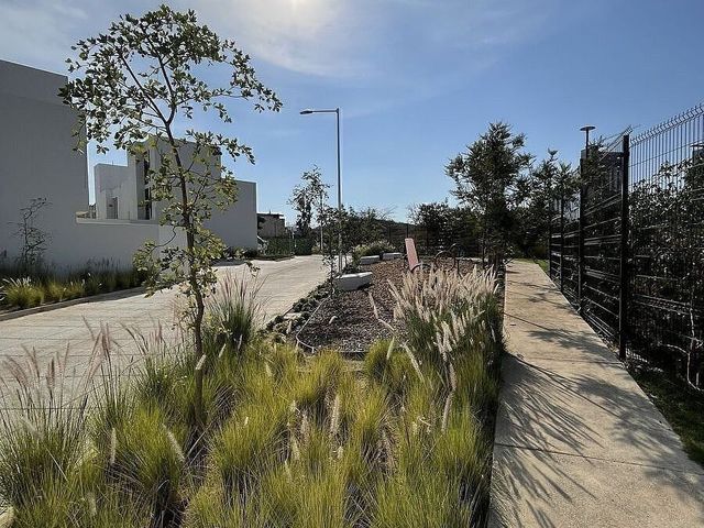 place photo 39
