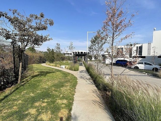 place photo 42