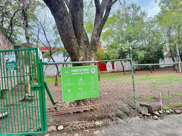 place photo 33