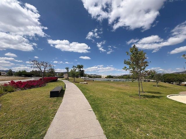 place photo 28