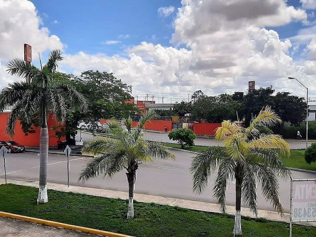 place photo 14