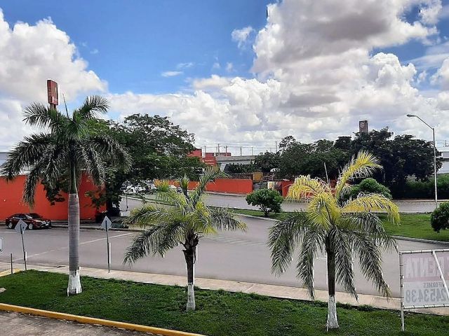 place photo 19