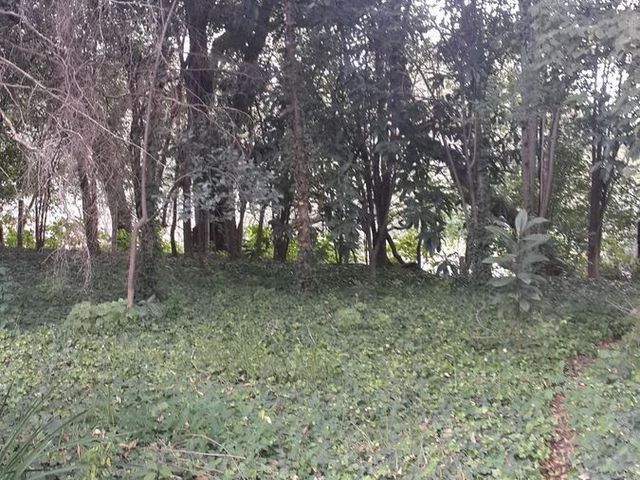 place photo 48