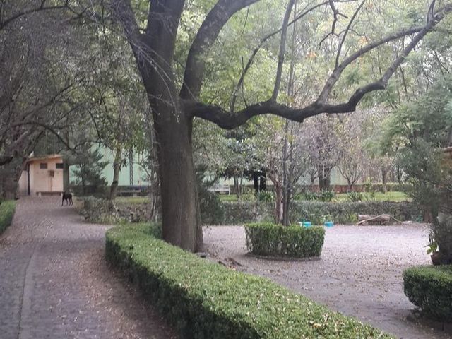 place photo 44