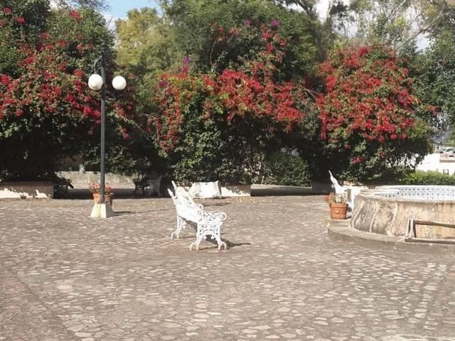 place photo 23