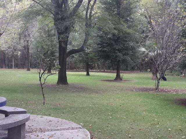 place photo 45