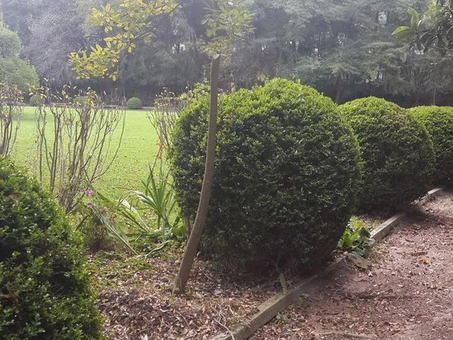 place photo 47