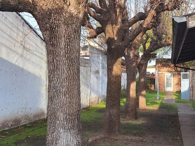 place photo 18