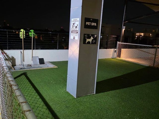 place photo 29