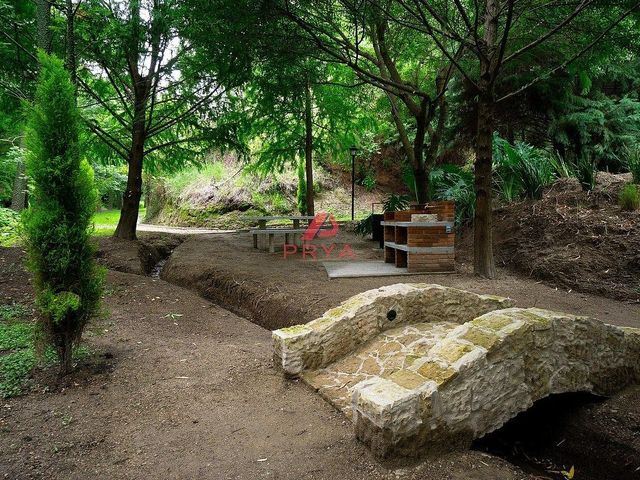 place photo 30